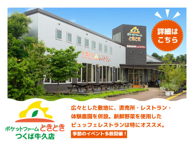 ポケットファームどきどきつくば牛久店