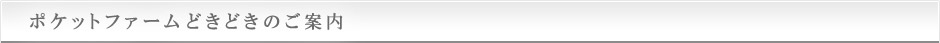 ポケットファームどきどきのご案内