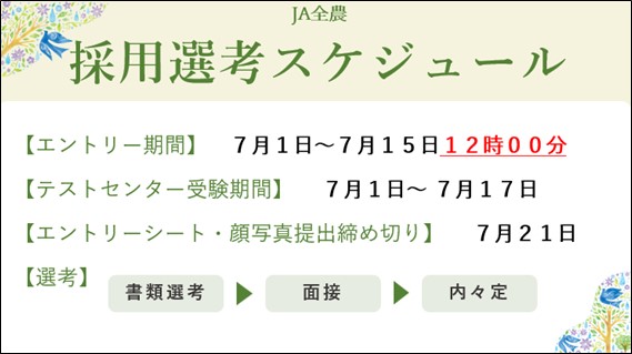 選考スケジュール