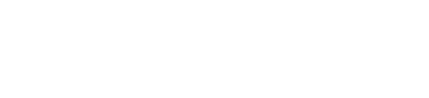 バケツ稲観察日記