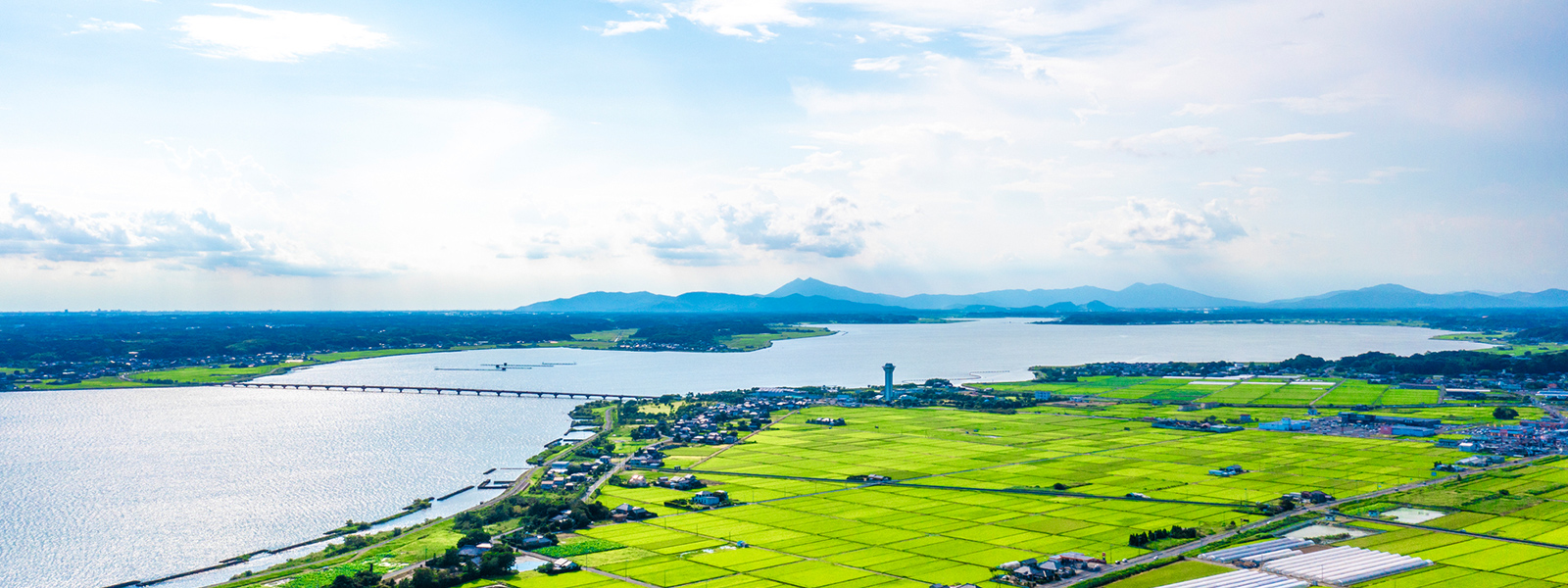 ＪＡ全農いばらきは農協グループの農畜産物の流通まとめ役として、消費者のみなさまと農家の方々との橋渡しをしています。