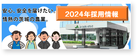 2024年採用情報