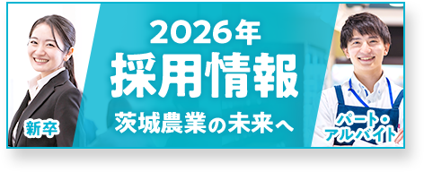 2026年採用情報