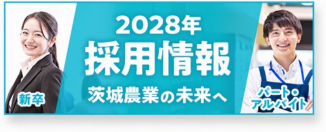 2028年採用情報