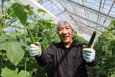 初出荷！！！の内容を表示