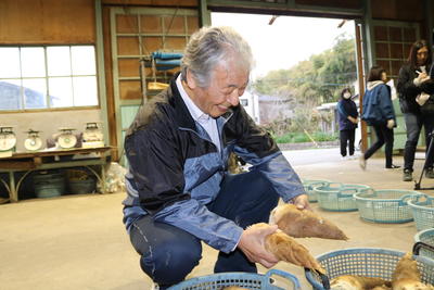 春の味覚♪うれしいですね！の内容を表示