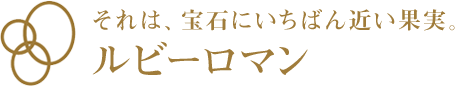 それは、宝石にいちばん近い果実。「ルビーロマン」
