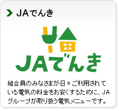 ＪＡでんき