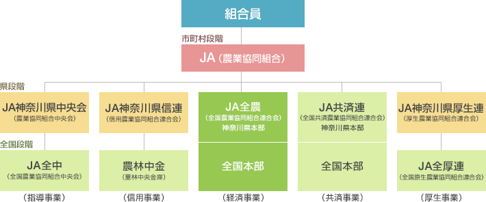 図)組織図