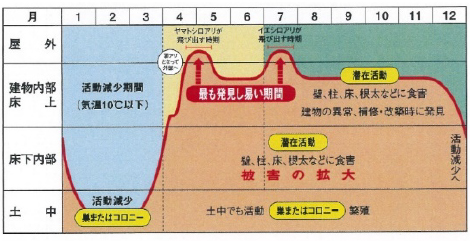 シロアリの被害