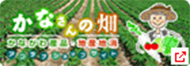 かなさんの畑