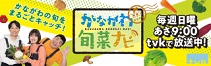 テレビ神奈川『かながわ旬菜ナビ』