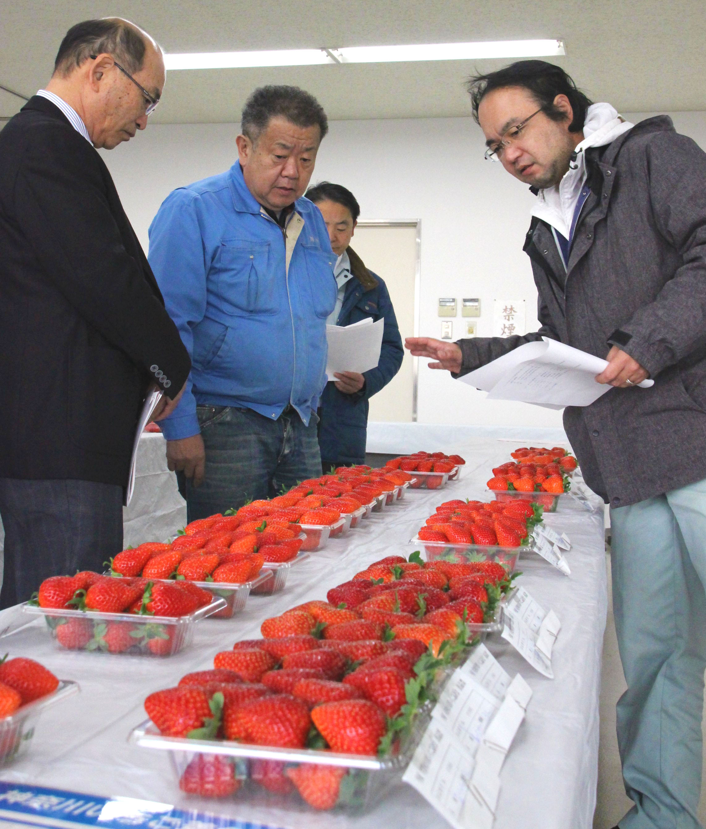 真っ赤な大粒イチゴがズラリ 県いちご品評会 お知らせ一覧 ｊａ全農かながわ