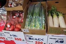 神奈川県産の新鮮野菜をご紹介の内容を表示