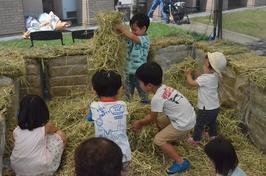 干牧草のふわふわ体験。牧草の良い香りも楽しめたの内容を表示