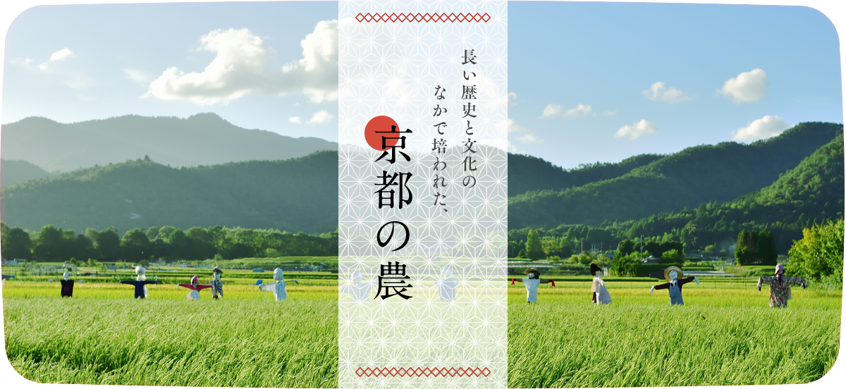 長い歴史と文化のなかで培われた、京都の農