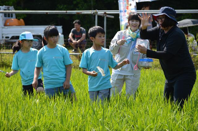 JA鳥羽志摩管内での調査の内容を表示