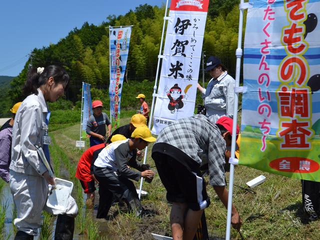 ＪＡ伊賀南部管内での調査の内容を表示