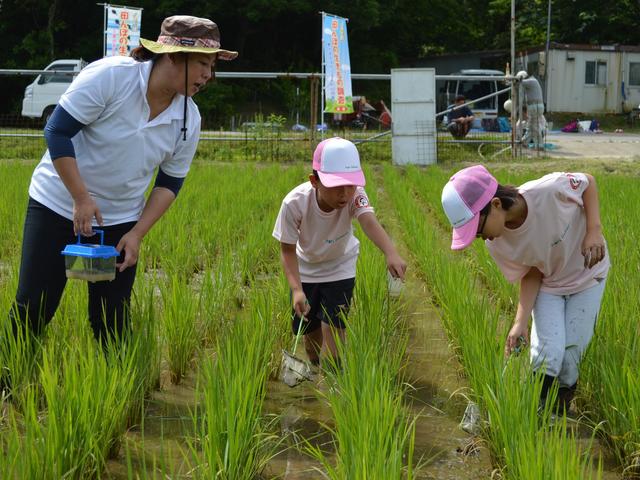 JA鳥羽志摩管内での調査の内容を表示