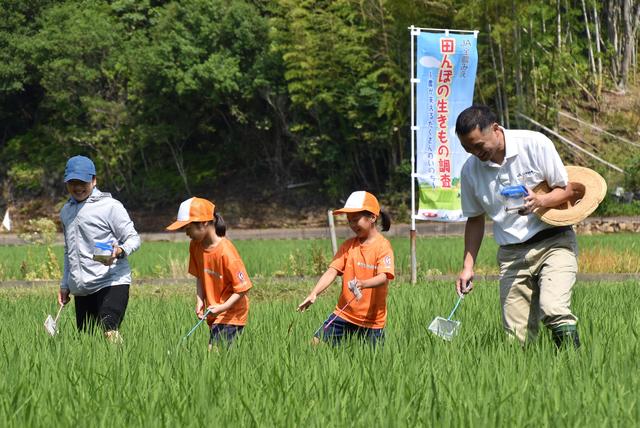 JA鳥羽志摩管内での調査の内容を表示