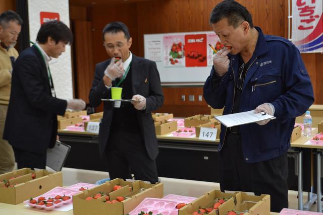 専門家による食味審査の内容を表示