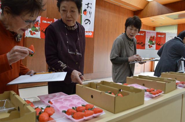 消費者代表による審査の内容を表示