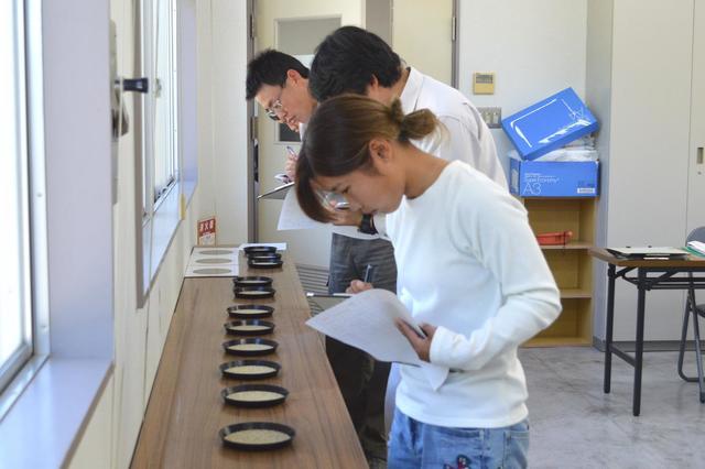 等級鑑定に挑戦 の内容を表示