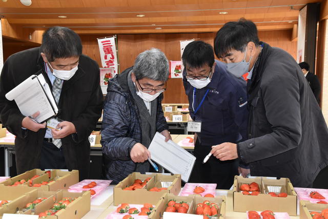 審査員による形状などの外観審査の内容を表示