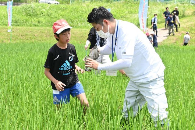 生きもの調査（名張市）の内容を表示