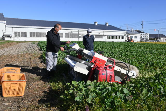 加工用野菜収穫機を活用した収穫作業の内容を表示