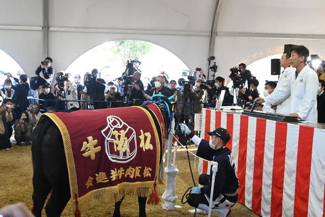 せり市の様子の内容を表示