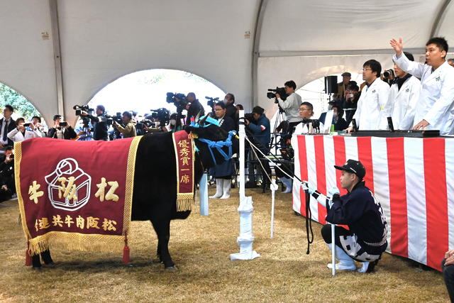 せり市の様子の内容を表示