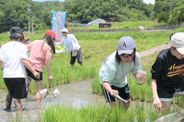 ＪＡいがふるさとの内容を表示
