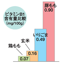 ビタミンB1含有量比較