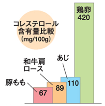 コレステロール含有量比較