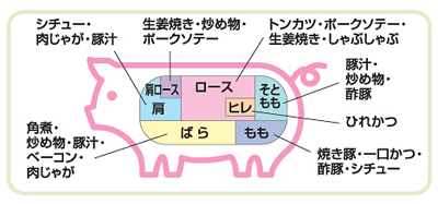 豚肉 部位