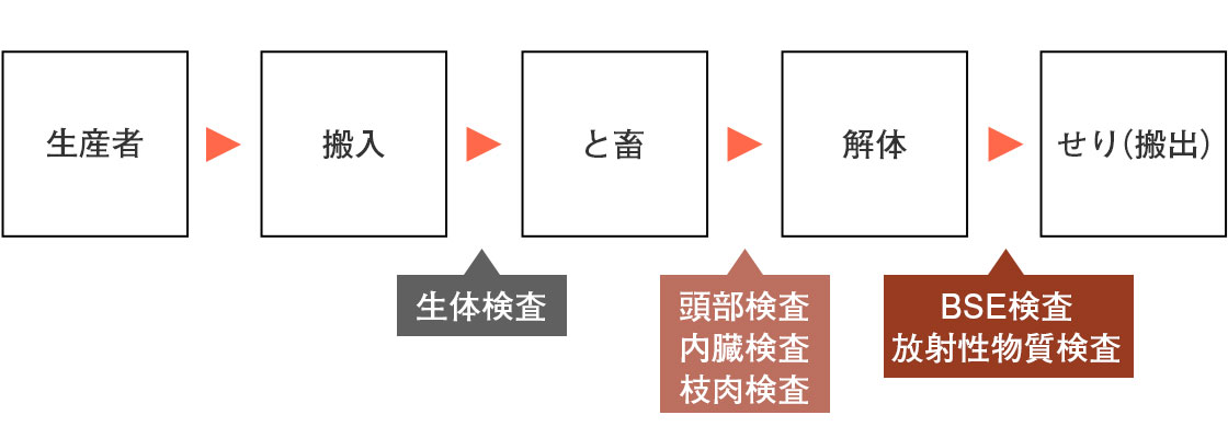 仙台牛出荷の流れ