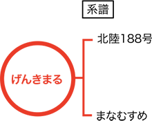 げんきまる