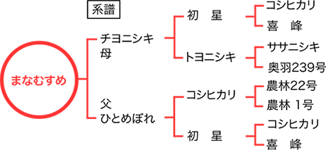 まなむすめ