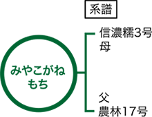 みやこがねもち