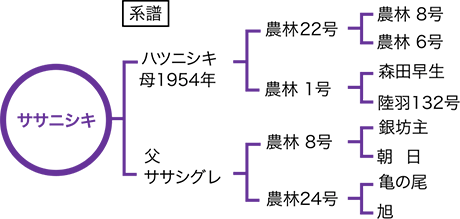 TTjVL