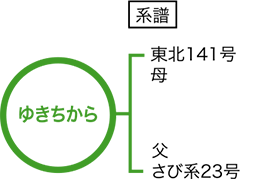 䂫