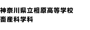 神奈川県立相原高等学校 畜産科学科