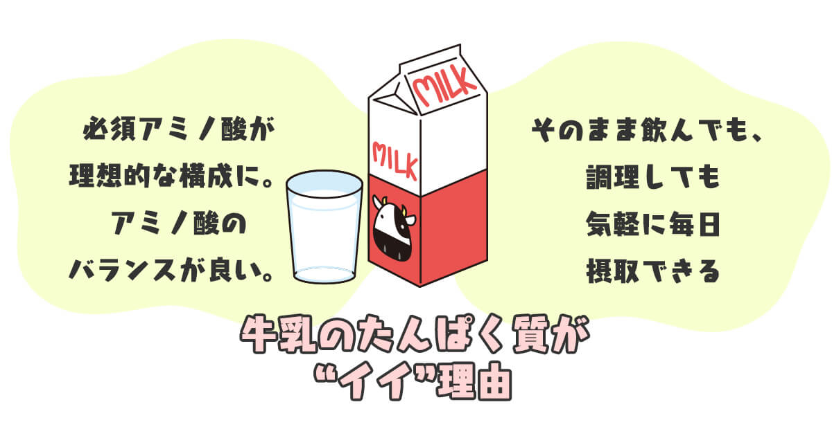 牛乳のたんぱく質が”イイ”理由