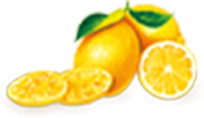 瀬戸内広島レモン