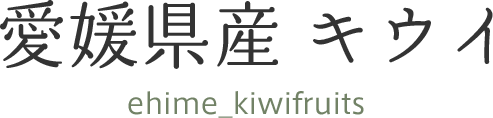 愛媛県産 キウイ