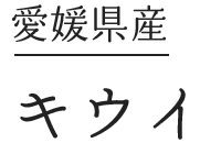 愛媛・キウイ
