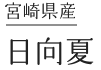 宮崎・日向夏