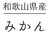 和歌山・みかん