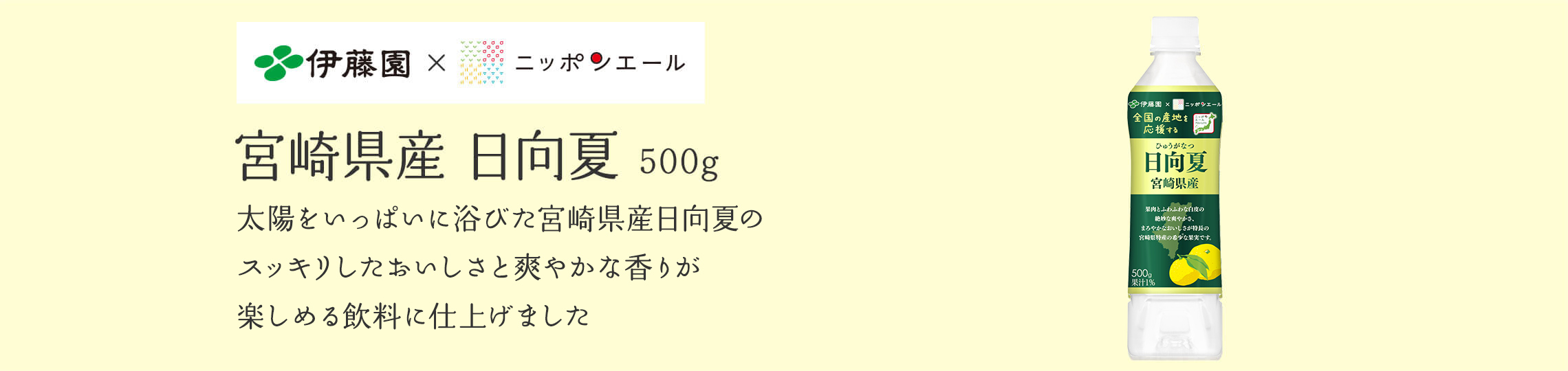 宮崎県産 日向夏